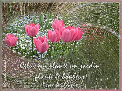 planter un jardin